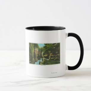 Caneca Vista da falha de Ausable