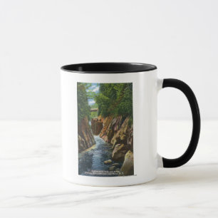 Caneca Vista das cataratas e pontes do rio Ausable