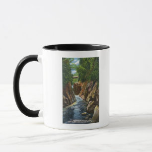 Caneca Vista das cataratas e pontes do rio Ausable