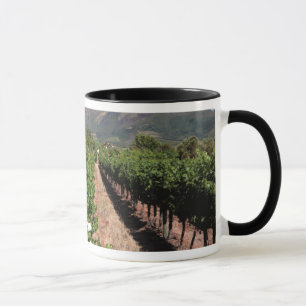 Caneca Vista das Vinhas. Stellenbosch