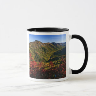 Caneca Vista de outono da Linville Gorge muitas vezes cha