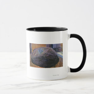 Caneca Vista de Plymouth Rock real
