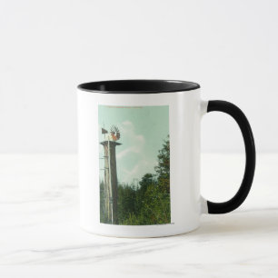 Caneca Vista de uma Sequoia Wind MillEureka, CA