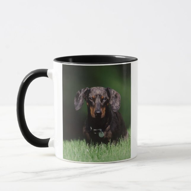 Caneca Vista do Dachshund de cor malhada (Esquerda)