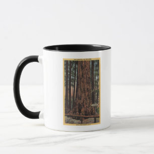 Caneca Vista do "do disjuntor pescoço" no parque grande