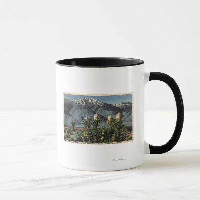 Caneca Vista do Monte San Jacinto, Yucca Mohavensis (Direita)