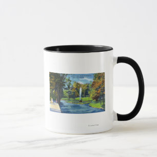 Caneca Vista do parque do geyser
