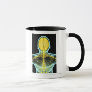 Caneca Vista dos nervos na parte superior do corpo de