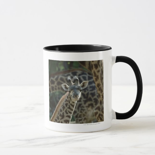 Caneca Vitela do girafa com girafas (Direita)