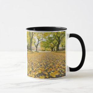 Caneca Vizinhança de Eastmoreland no outono