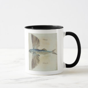 Caneca Vôo-Peixes