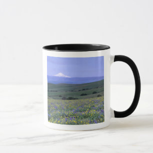 Caneca WA, Condado de Klickitat, Dalles Mountain Ranch,