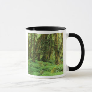 Caneca WA, Olimpiadas NP, Floresta de Chuva Quinault, mus