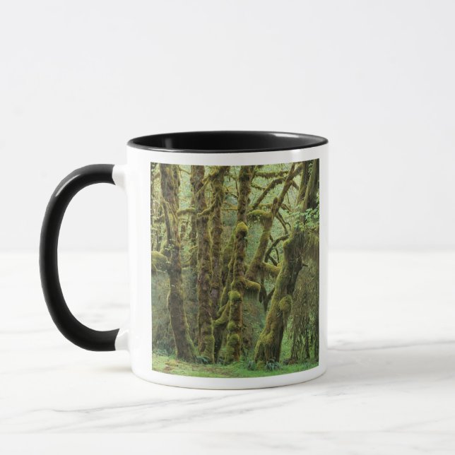 Caneca WA, Olimpiadas NP, Hoh Rain Forest, Hall of (Esquerda)