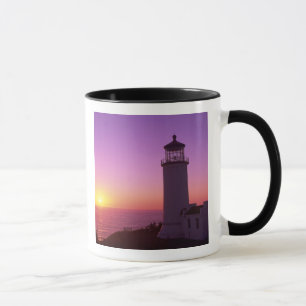 Caneca WA, Parque Estadual Cape Disappointment, North Hea