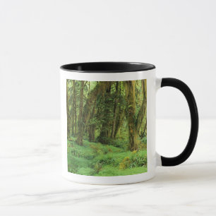 Caneca WA, Parque Nacional Olímpico, Floresta Tropical de
