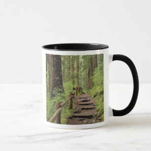 Caneca WA, Parque Nacional Olímpico, Vale de Sol Duc, flo