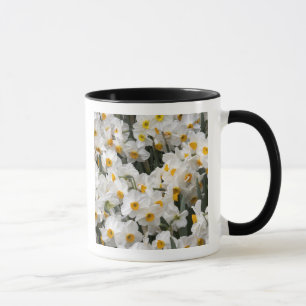 Caneca WA, Skagit Valley, padrão Daffodil
