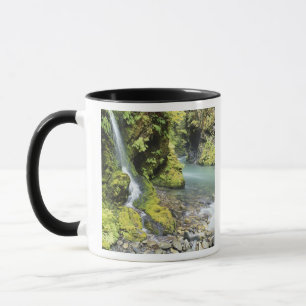 Caneca Washington, Parque Nacional Olímpico, Sazonal