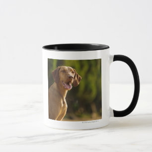 Caneca Weimaraner