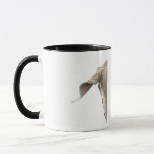 Caneca Weimaraner 2