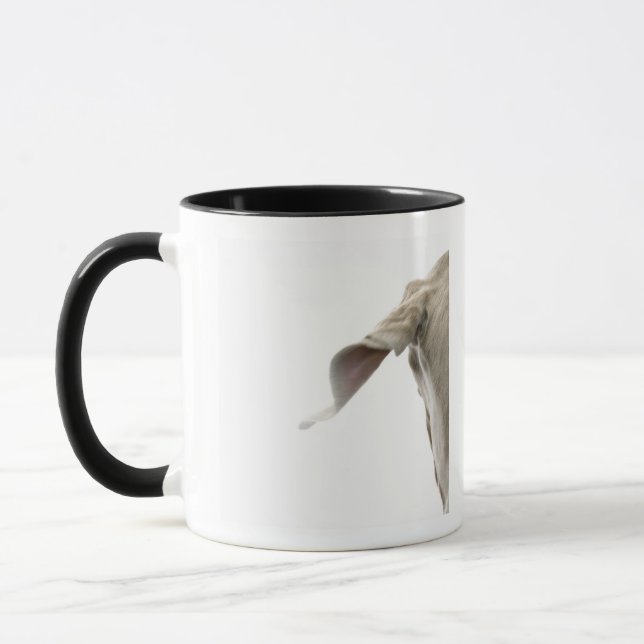 Caneca Weimaraner 2 (Esquerda)