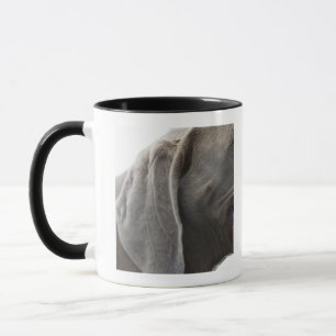 Caneca Weimaraner 3