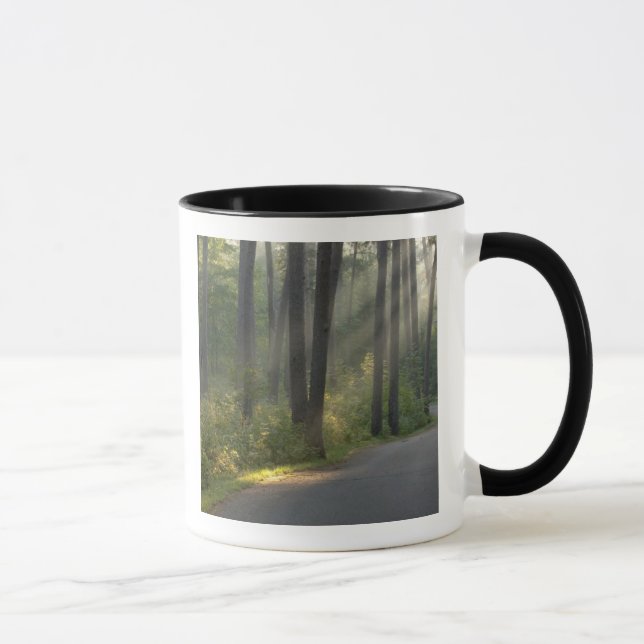 Caneca Wilderness Drive, Parque Estadual de Itasca, (Direita)