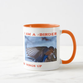 Caneca Wings Up Eastern Bluebird Birder