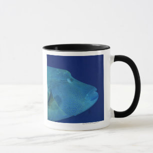 Caneca Wrasse 2 de Humphead