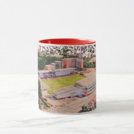 Caneca Wrexham AFC, Racecourse Ground