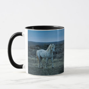 Caneca wyoming, Estados Unidos da América