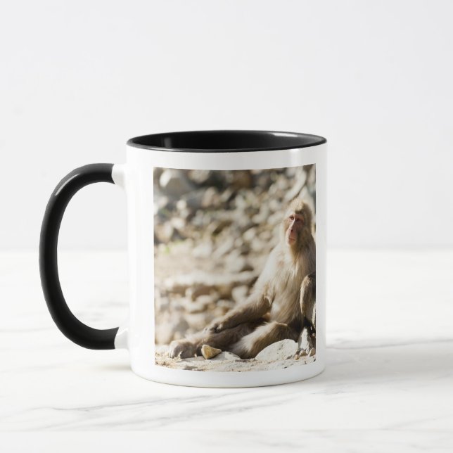Caneca Yamanouchi, Chubu, Nagano, Japão 2 (Esquerda)