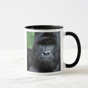 Caneca Zaire, Parque Nacional Virungas. Retrato de