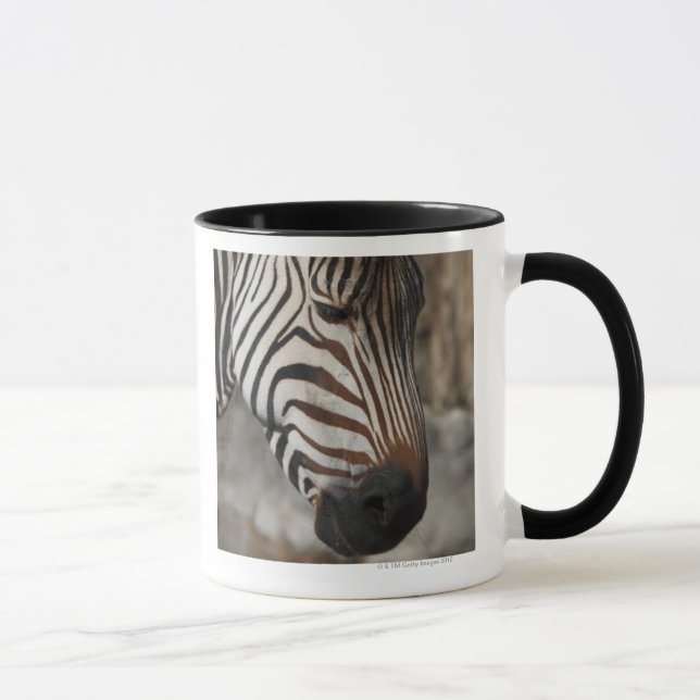 Caneca Zebra, fim-acima (Direita)