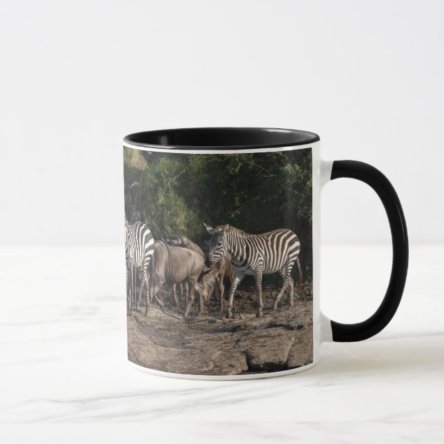 Caneca Zebra Herd em Arranjo Natural Presente Interior Ne (Direita)