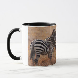 Caneca Zebra no Quênia
