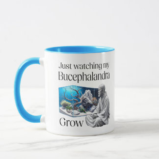 Caneca Zen and Bucephalandra – The Art of Aquascaping