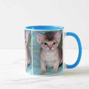 Canecas Abyssinian do gatinho