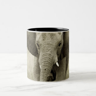 Canecas & copos do elefante africano