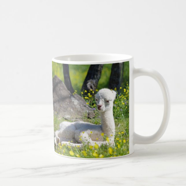 Canecas da alpaca (Direita)