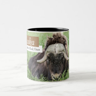 Canecas de café de Alaska - bois de Musk