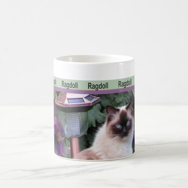 Canecas de Ragdoll (Centro)