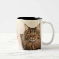 Canecas do gato de racum de Maine