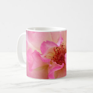 Canecas do rosa do rosa