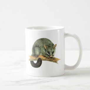 Canecas - gambá cooroy