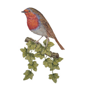 Caneta Azul Robin abarrotado de aves selvagens com folhas de e