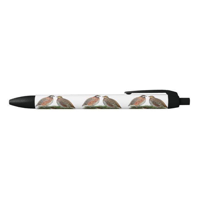 Caneta Preta Família de Codorniz Bobwhite (parte de cima)
