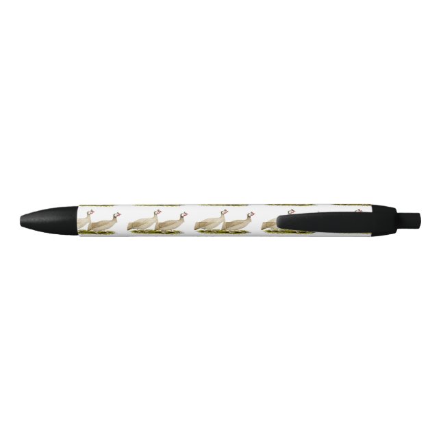 Caneta Preta Guineas Buff Dundotte Fowl (Traseira)