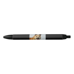 Caneta Preta IslandêsSheepdog20150904